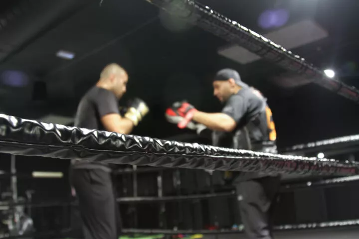 Arts Martiaux Mixtes